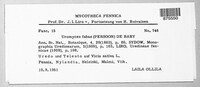 Uromyces viciae-fabae image